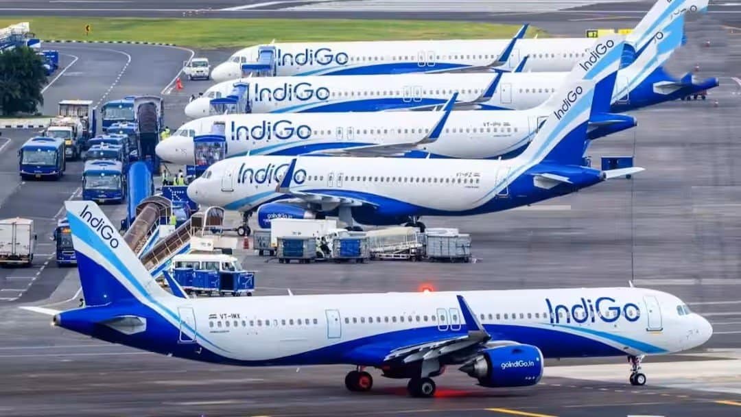 IndiGo
